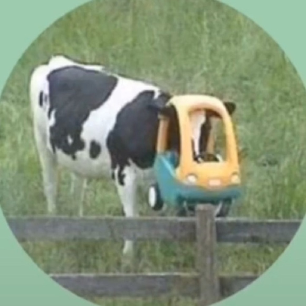 Meet your Posher, Sam